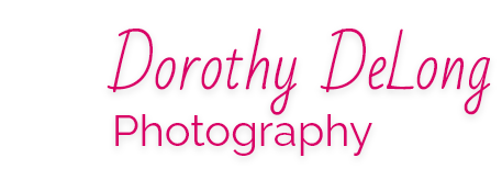 Dorothy DeLong Photography